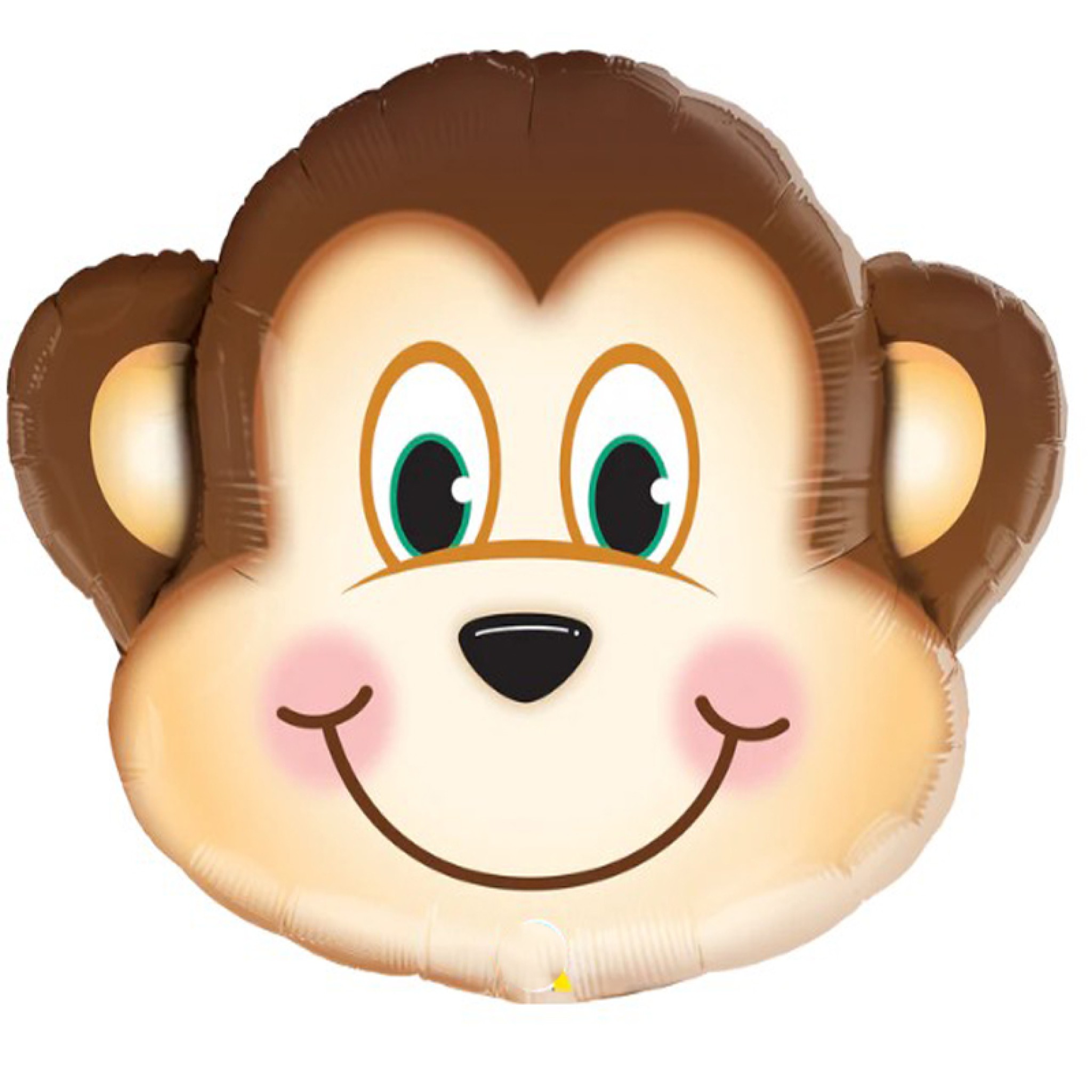 Mischievous Monkey
